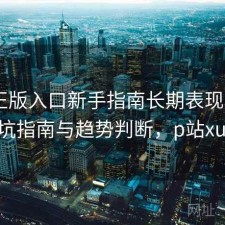P站正版入口新手指南长期表现分析：避坑指南与趋势判断，p站xude
