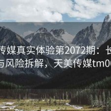 天美传媒真实体验第2072期：长期表现与风险拆解，天美传媒tm0056