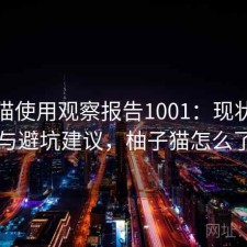 柚子猫使用观察报告1001：现状分析与避坑建议，柚子猫怎么了