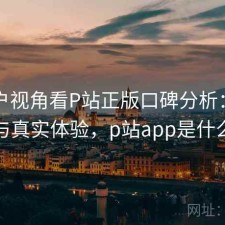 从用户视角看P站正版口碑分析：使用技巧与真实体验，p站app是什么软件