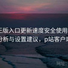 P站正版入口更新速度安全使用指南：实测分析与设置建议，p站客户端最新