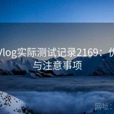 糖心Vlog实际测试记录2169：优缺点与注意事项