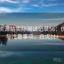 白虎资源站实际测试记录56：优缺点与注意事项，白虎ht+