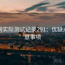 秀人网实际测试记录291：优缺点与注意事项