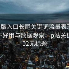 P站正版入口长尾关键词流量表现如何？好不好用与数据观察，p站关键词1002无标题