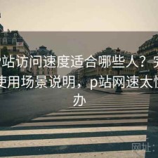 正规P站访问速度适合哪些人？完整攻略与使用场景说明，p站网速太慢怎么办