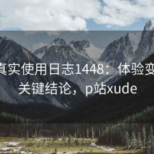 P站真实使用日志1448：体验变化与关键结论，p站xude