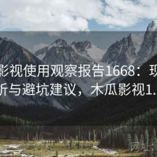 木瓜影视使用观察报告1668：现状分析与避坑建议，木瓜影视1.1