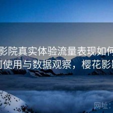 樱花影院真实体验流量表现如何？如何使用与数据观察，樱花影影