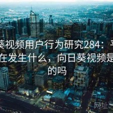 向日葵视频用户行为研究284：平台生态正在发生什么，向日葵视频是合法的吗