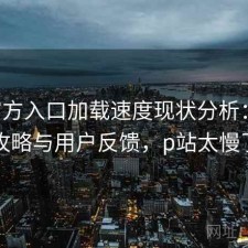 P站官方入口加载速度现状分析：完整攻略与用户反馈，p站太慢了