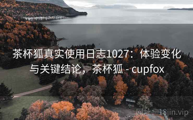 茶杯狐真实使用日志1027：体验变化与关键结论，茶杯狐 - cupfox  第2张