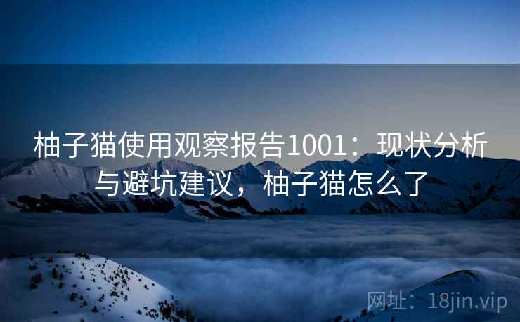 柚子猫使用观察报告1001：现状分析与避坑建议，柚子猫怎么了  第2张