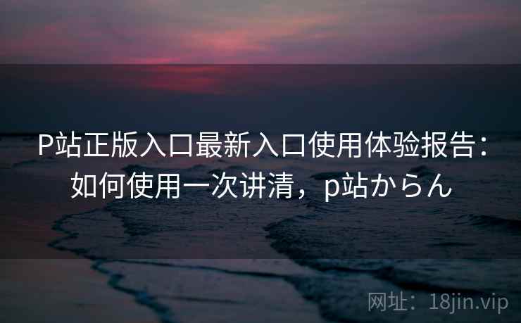 P站正版入口最新入口使用体验报告：如何使用一次讲清，p站からん  第2张