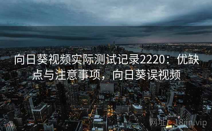 向日葵视频实际测试记录2220：优缺点与注意事项，向日葵误视频  第2张