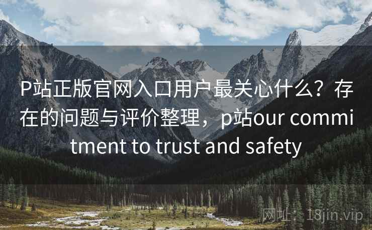 P站正版官网入口用户最关心什么？存在的问题与评价整理，p站our commitment to trust and safety  第2张