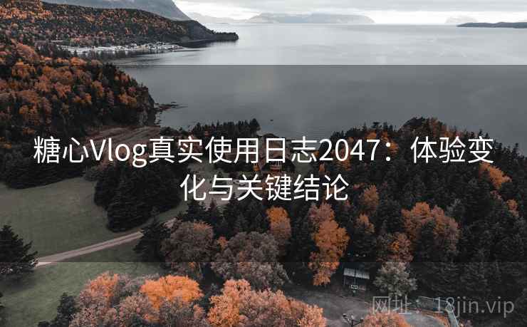 糖心Vlog真实使用日志2047：体验变化与关键结论  第2张