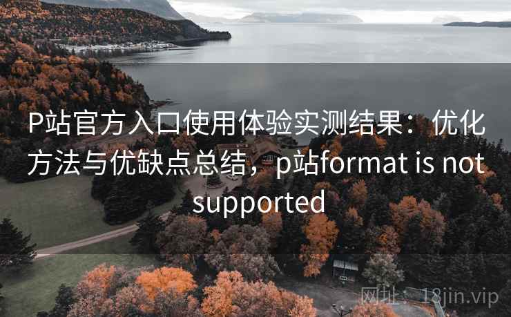 P站官方入口使用体验实测结果：优化方法与优缺点总结，p站format is not supported  第2张