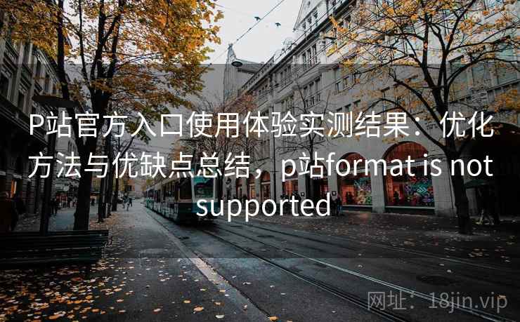 P站官方入口使用体验实测结果：优化方法与优缺点总结，p站format is not supported  第1张