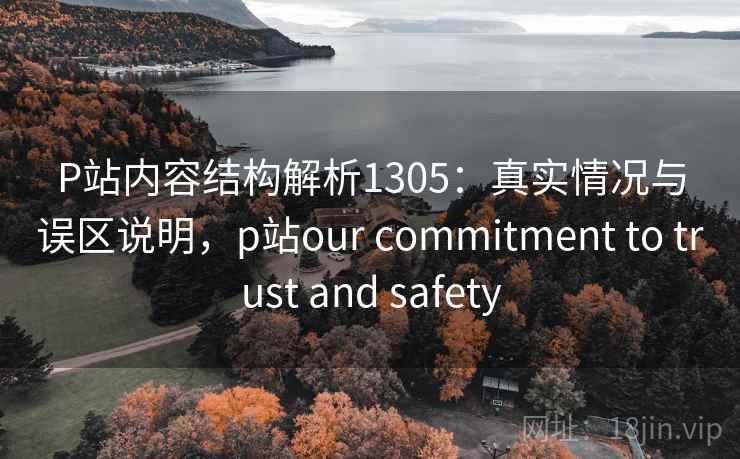 P站内容结构解析1305：真实情况与误区说明，p站our commitment to trust and safety  第2张