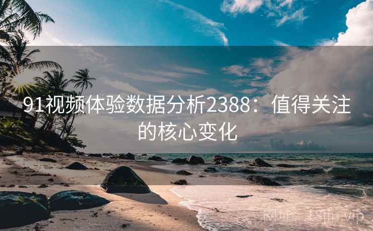 91视频体验数据分析2388:值得关注的核心变化 第2张 91视频体验数据分析2388:值得关注的核心变化 第2张