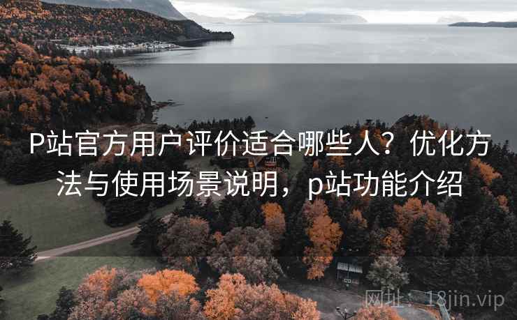 P站官方用户评价适合哪些人?优化方法与使用场景说明,p站功能介绍 第2张 P站官方用户评价适合哪些人?优化方法与使用场景说明,p站功能介绍 第2张