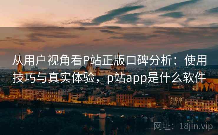 从用户视角看P站正版口碑分析：使用技巧与真实体验，p站app是什么软件  第1张