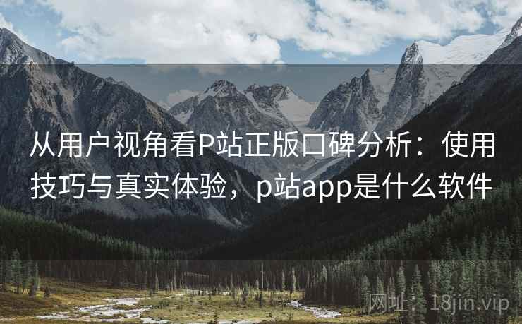 从用户视角看P站正版口碑分析：使用技巧与真实体验，p站app是什么软件  第2张