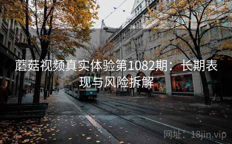 蘑菇视频真实体验第1082期：长期表现与风险拆解  第2张
