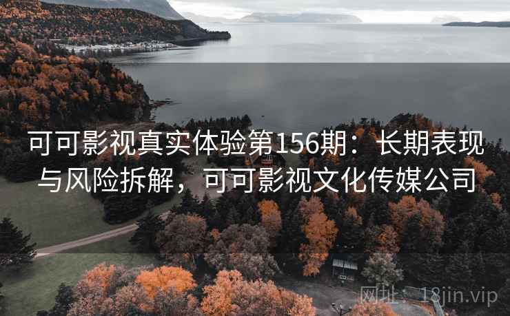 可可影视真实体验第156期：长期表现与风险拆解，可可影视文化传媒公司  第1张