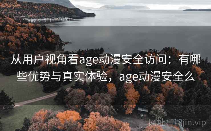 从用户视角看age动漫安全访问：有哪些优势与真实体验，age动漫安全么  第1张
