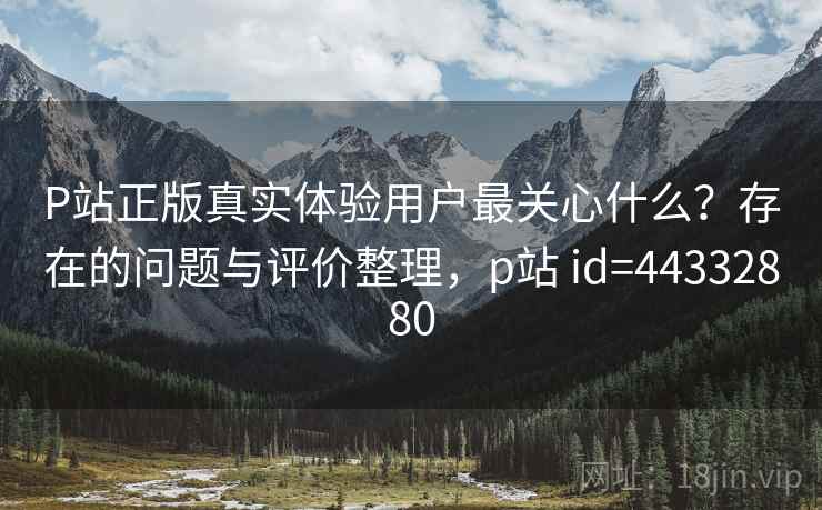 P站正版真实体验用户最关心什么？存在的问题与评价整理，p站 id=44332880  第2张