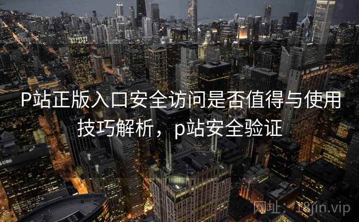 P站正版入口安全访问是否值得与使用技巧解析，p站安全验证  第1张