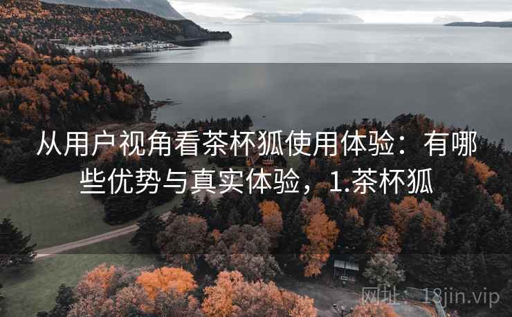 从用户视角看茶杯狐使用体验：有哪些优势与真实体验，1.茶杯狐  第2张