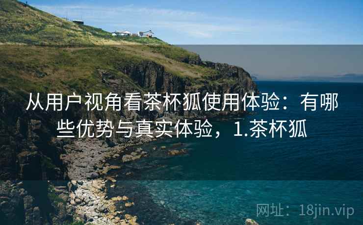 从用户视角看茶杯狐使用体验：有哪些优势与真实体验，1.茶杯狐  第1张