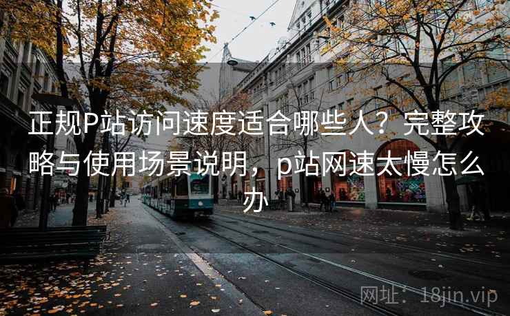 正规P站访问速度适合哪些人？完整攻略与使用场景说明，p站网速太慢怎么办  第2张