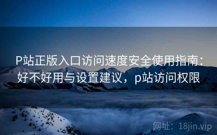 P站正版入口访问速度安全使用指南：好不好用与设置建议，p站访问权限  第1张