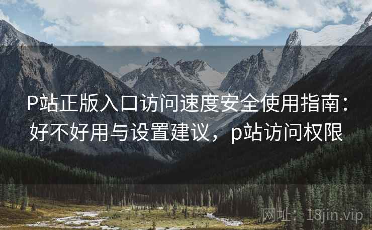 P站正版入口访问速度安全使用指南：好不好用与设置建议，p站访问权限  第2张