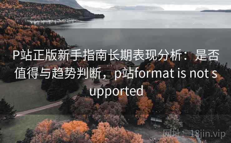 P站正版新手指南长期表现分析：是否值得与趋势判断，p站format is not supported  第2张