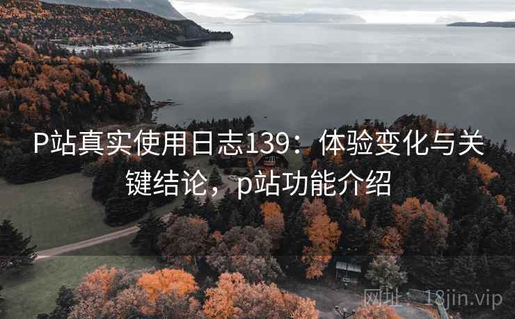 P站真实使用日志139：体验变化与关键结论，p站功能介绍  第2张