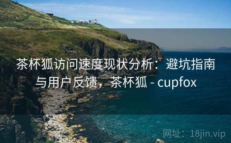 茶杯狐访问速度现状分析：避坑指南与用户反馈，茶杯狐 - cupfox  第2张