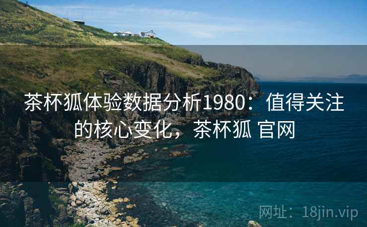 茶杯狐体验数据分析1980：值得关注的核心变化，茶杯狐 官网  第2张